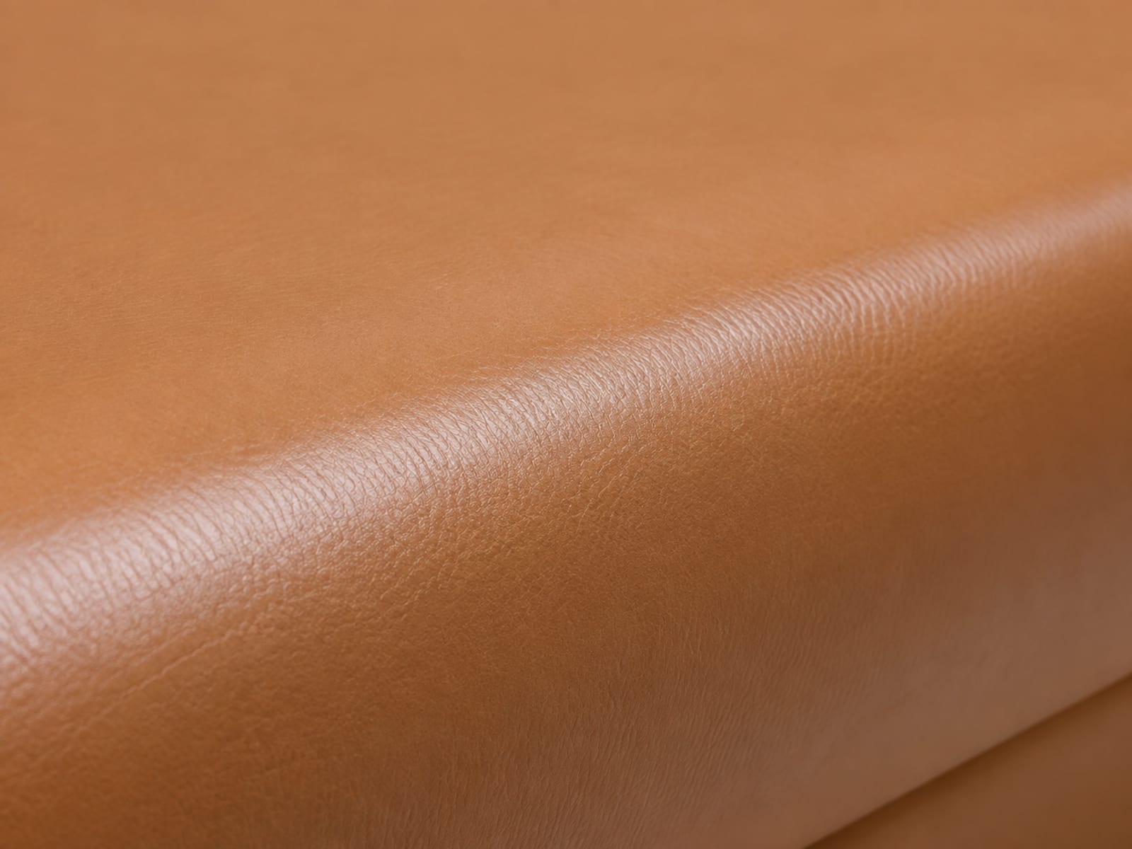 A side-on view along the rolled front edge of a tan leather seat cushion, the rolled edge carrying a deeper sheen than the flat face behind it in exactly the same color